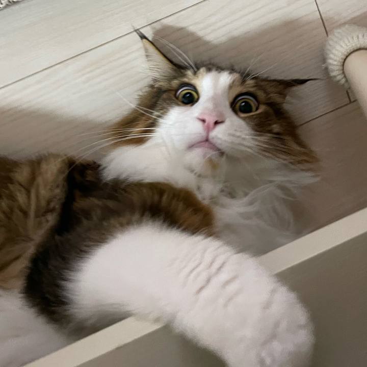 6130c29d 5c98 4a07 8475 858baf9a38ae 1663616724456