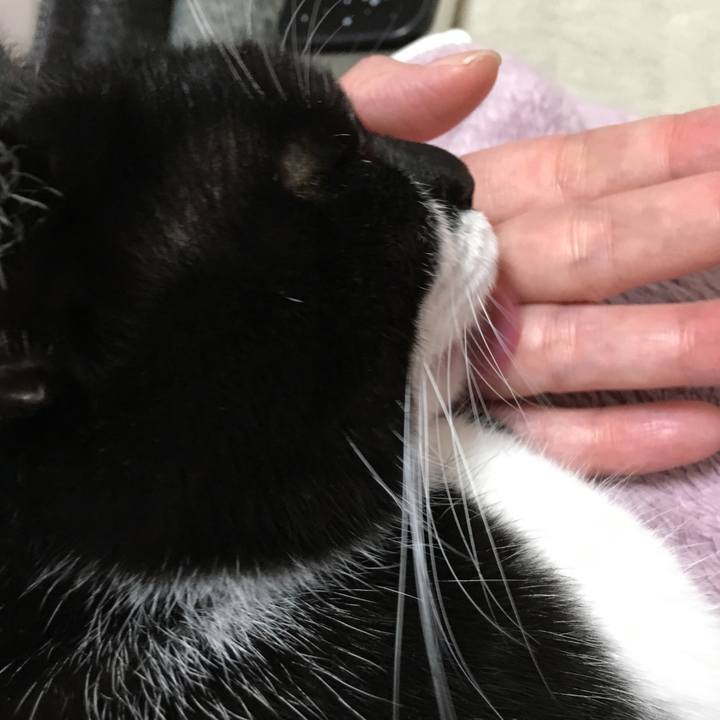 6130f23b 7aac 482f 8a24 18dd6fe1a16f 1543225257507