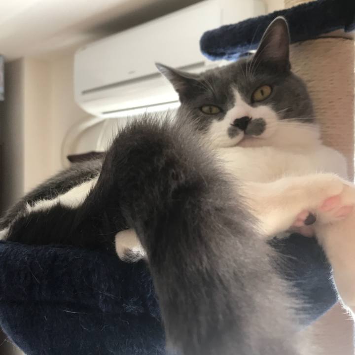 613108ce eb97 4030 bdfe 61a5d8e0610f 1624534804461