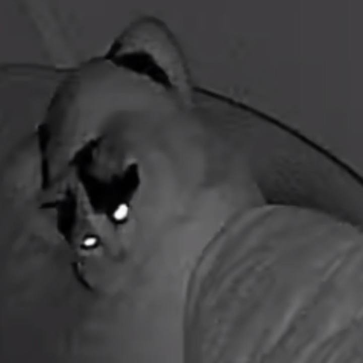 613114a7 e4de 4fce b884 e69f0f75b8c6 1768396066600