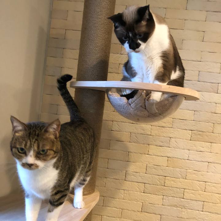 61317049 b4d6 4b67 8fec 44c923b33b3b 1632942324284