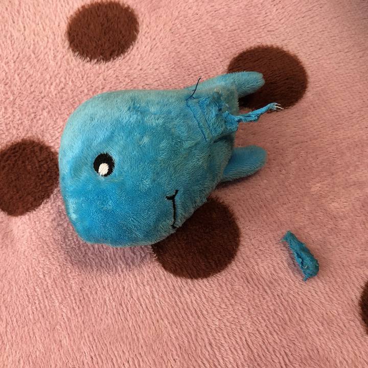 61317327 1559 4898 b9cb d060c8b2ae5f 1623715501550