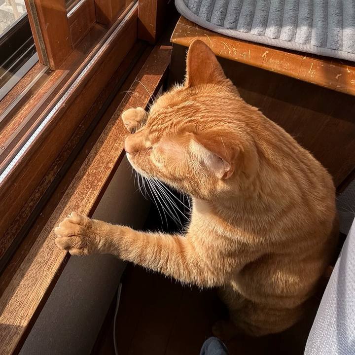 61318e5e 09e9 47ad 8d6a f3ce6c1a5e4f 1774940617276