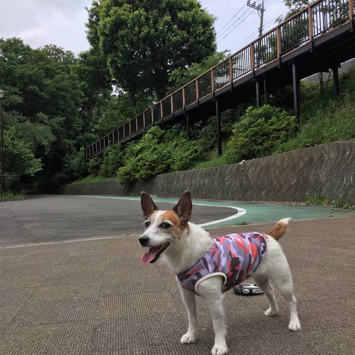 6131e0a0 7a82 467c b467 7539de5b1ff5 1624754918167