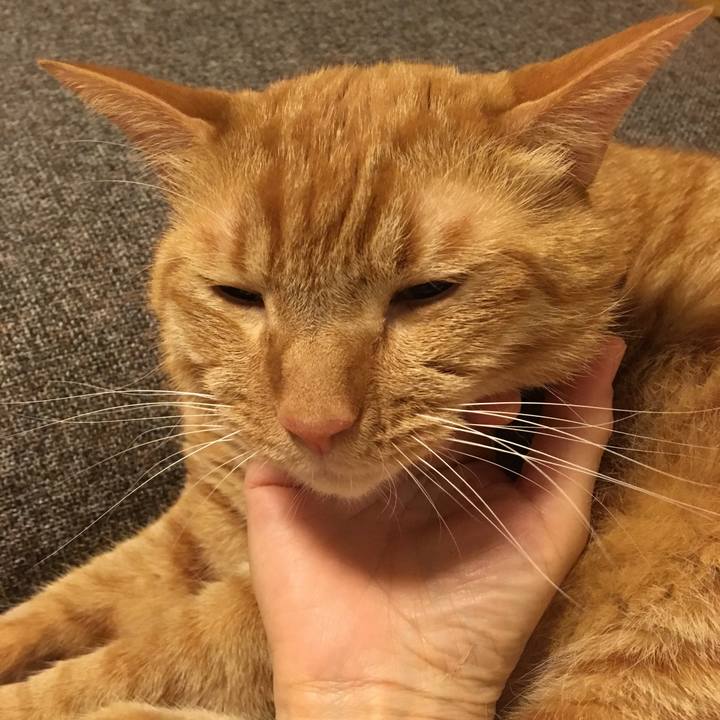 6131f39e cde2 4436 aa1b a5427ca3e26a 1532770917262