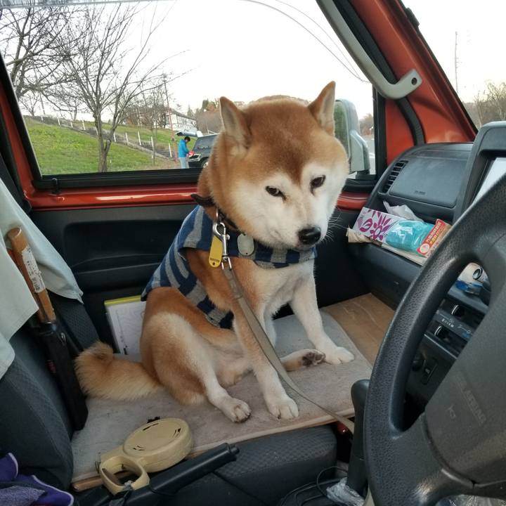 6131f8d8 ea74 48be be92 55a19633a016 1637133168286