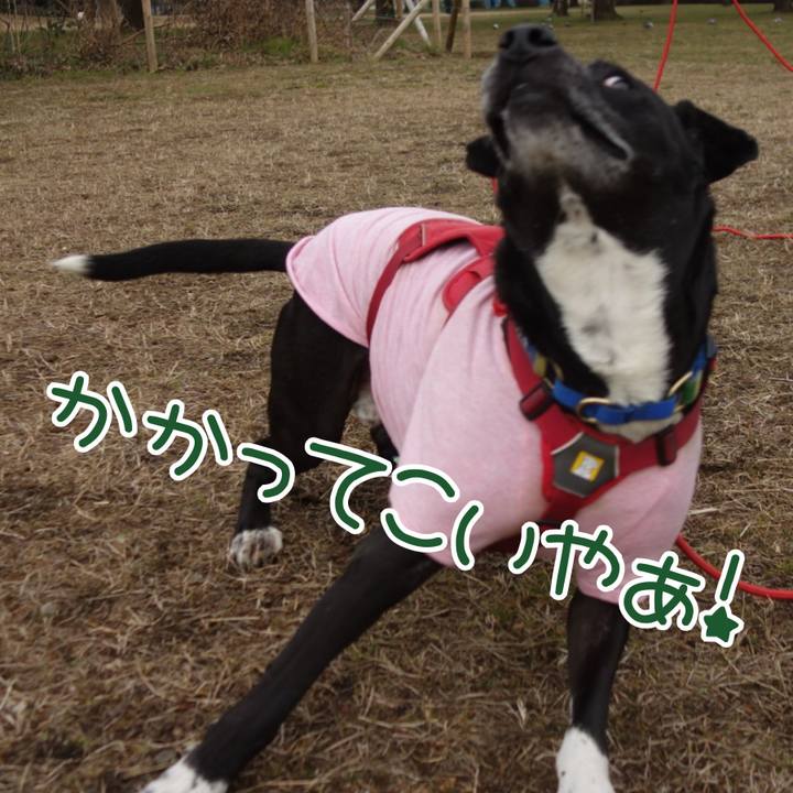 6131f937 411d 4640 b20d 62682709a197 1677201799715