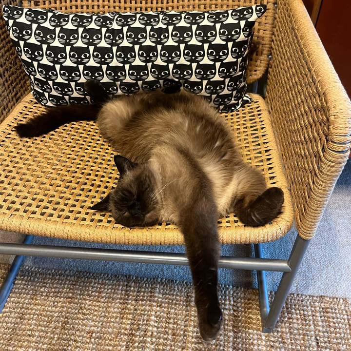 61320dd2 ad2e 45bc 9db5 78846b2b2809 1723951739636