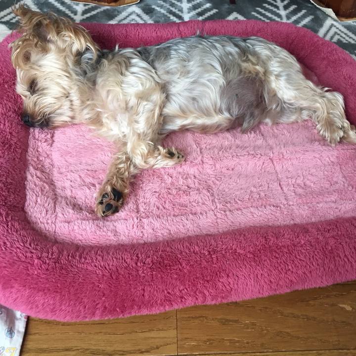 613237d1 99b1 4ab6 a36c ec67612883ff 1538899039202