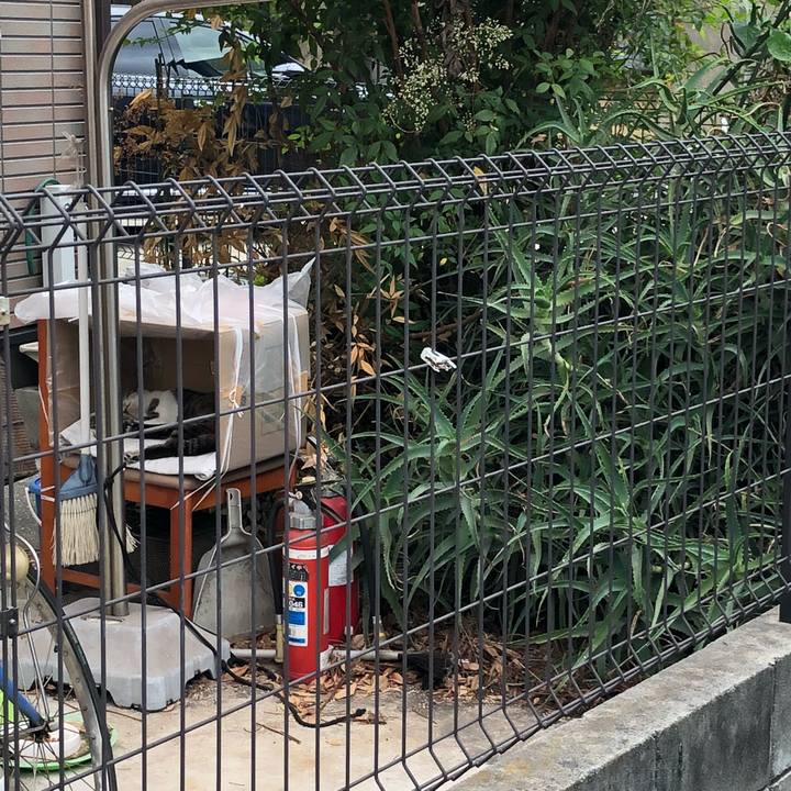 6132527c be1f 452e 8a98 baecfae9dd3b 1527665847721