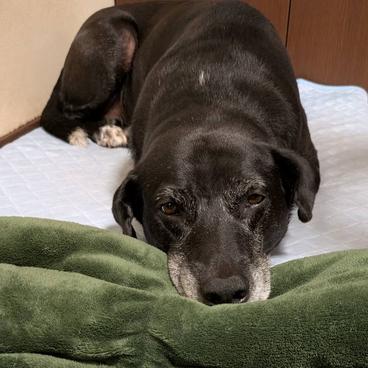 613260ca 9e72 4c2d 9e0b ab54ac55fe7f 1751807525458