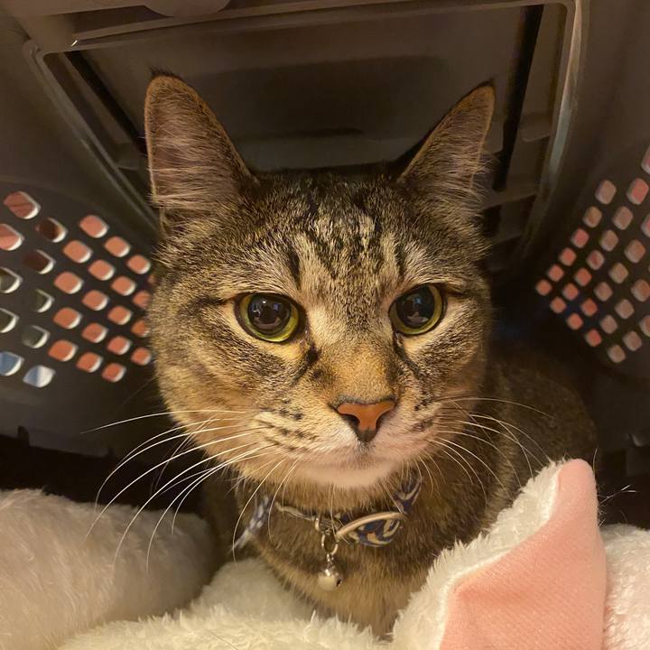 61329b62 3ae2 412d 9c48 5cac15c3add8 1593405516979