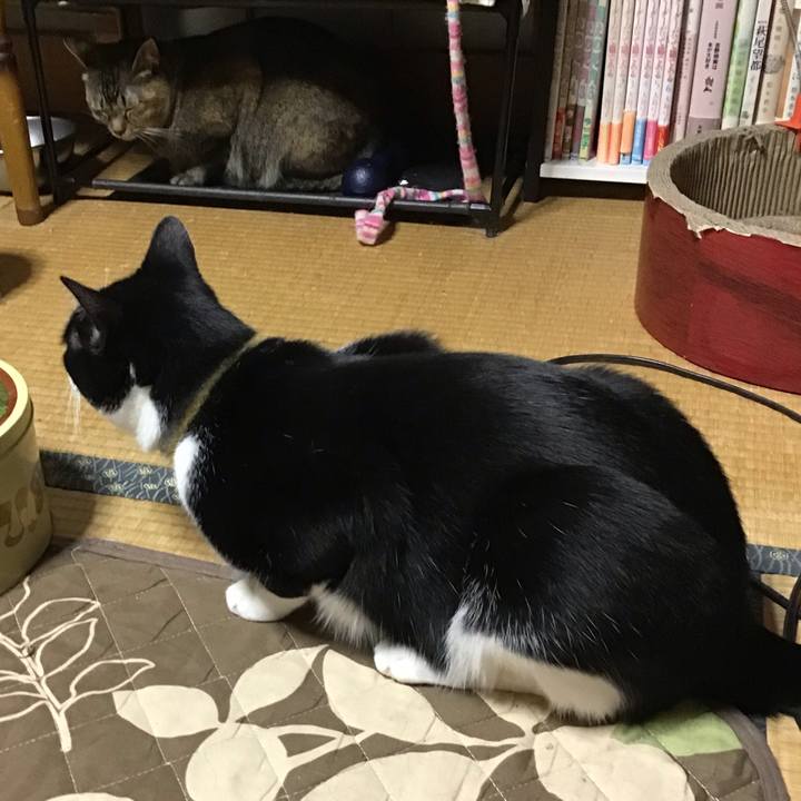 6132deaa 30d6 4e46 989c 0857a06a9964 1652876067219