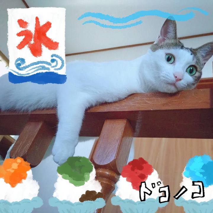 61331247 de92 4f24 88a0 6163d884959f 1723345172155