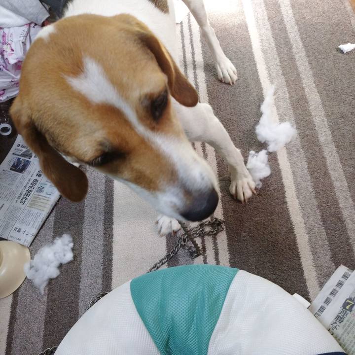 61331c07 eb25 4843 bbc7 3657e291915e 1598249774146