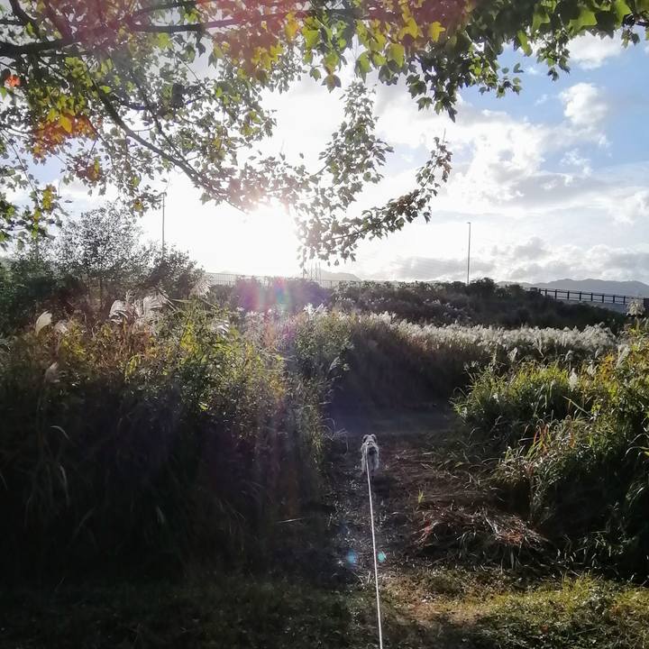 61331f18 b6dd 458d 99fb c5f216f39af7 1634689571279