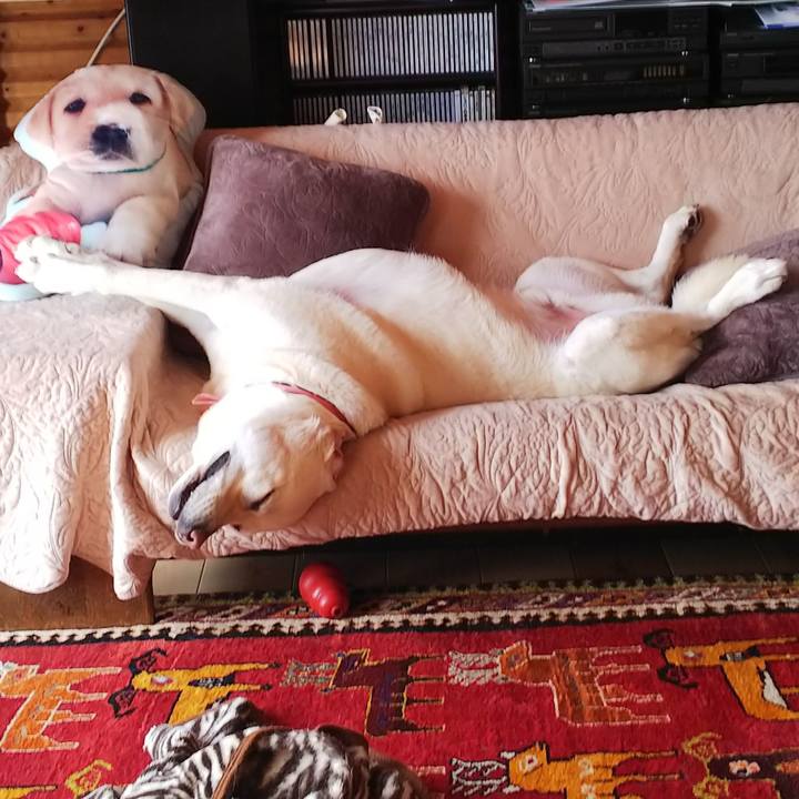 61337523 fe5e 4fbf bbd3 7876115ad8de 1579497038204