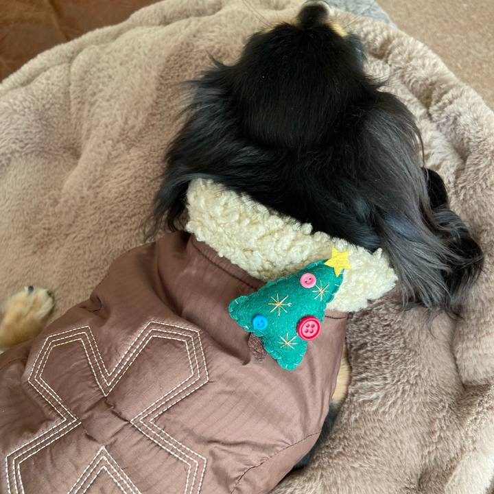 613387db 4a6b 4ca1 b1d9 8c1bb70d7a7c 1735084820957