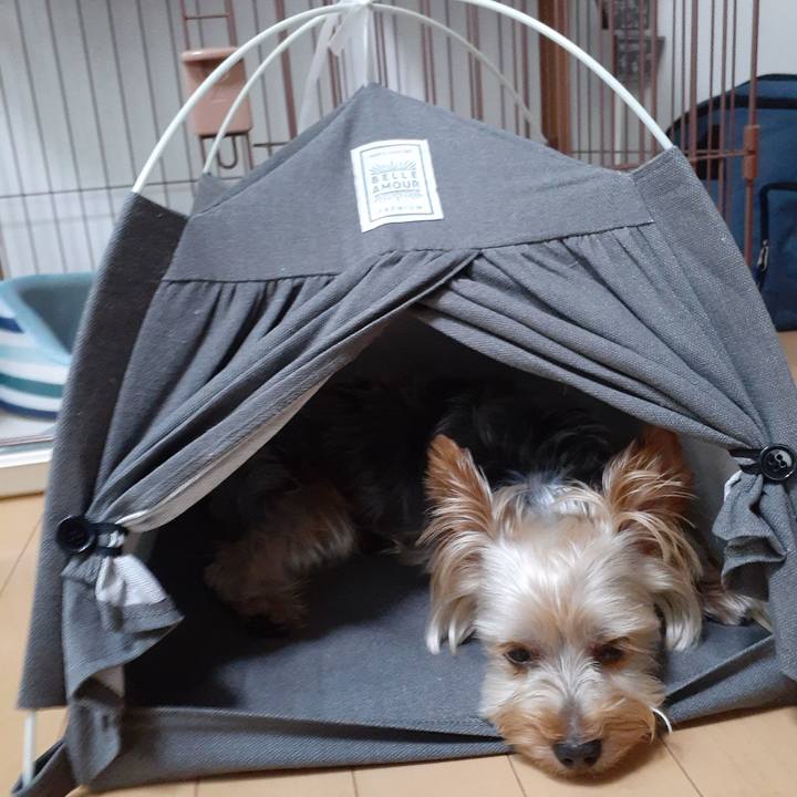 61339dff df01 4f30 a358 e60358359727 1594250846711