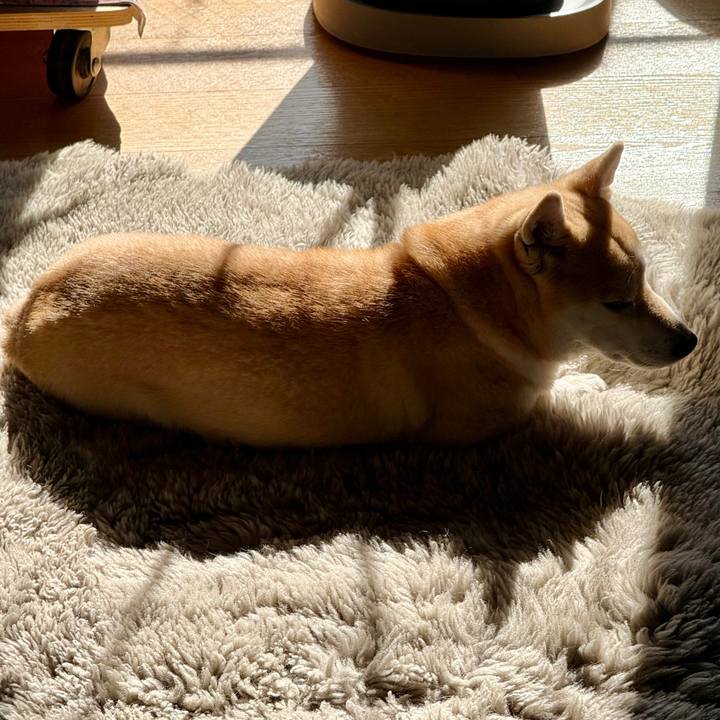 6133c5c4 cb44 43ab 9be6 df3f62f67475 1771126611366