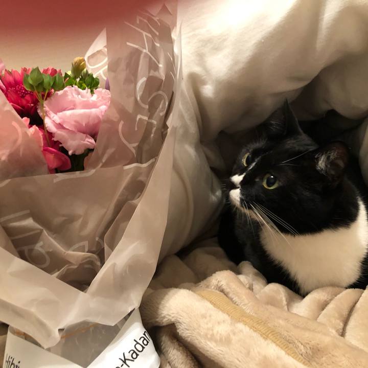 61340630 f97b 4bfd b2e7 c2edf36ec714 1548889779821