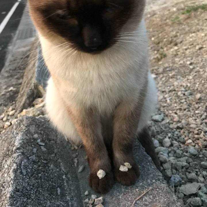 613429c7 2caf 4636 bdff 340657796c1c 1595564189117