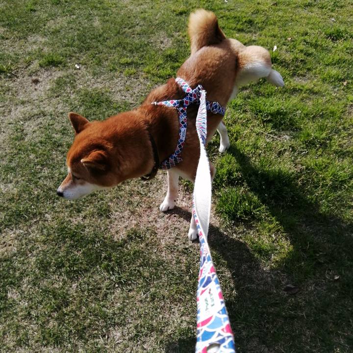 613438e8 4308 4e3f b4ad 72d9b73a8104 1618125753436