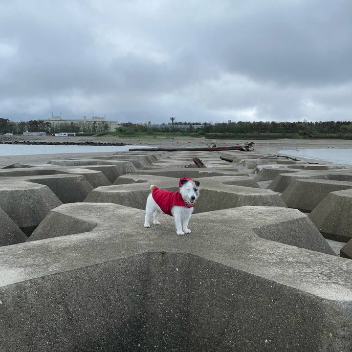 61348b6e 91d9 4953 b8e2 31de90d93ccf 1621293630383