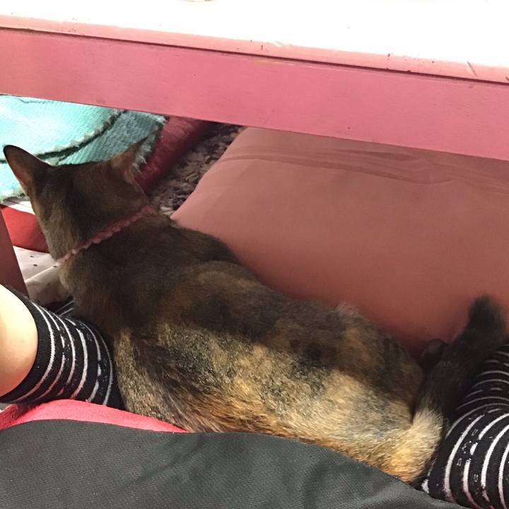 61349e23 21f4 4252 9754 afaa042a72fd 1594879898101