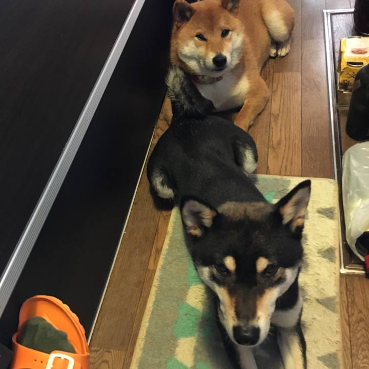 6134bdf0 170c 4ad0 af06 59c12730a68d 1524697181564