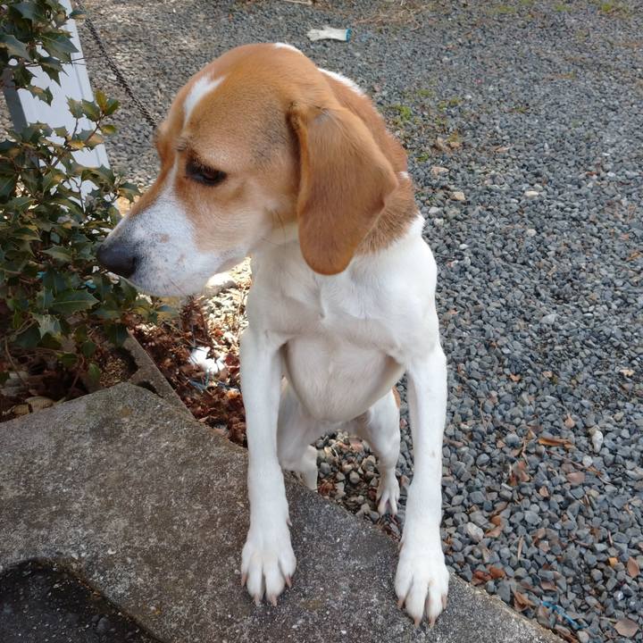 6134c89e e6ae 444f aa17 81f4c86fcf11 1579321874945