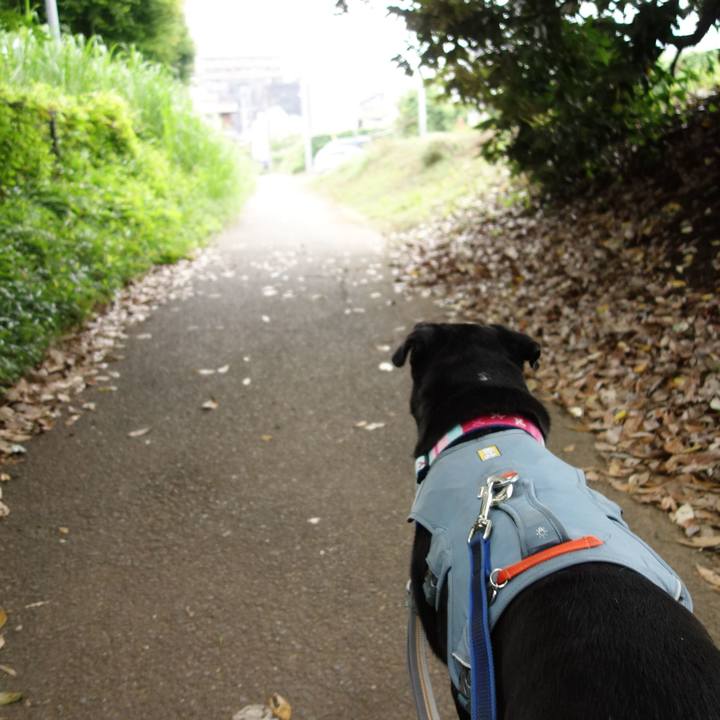 6134e039 fd96 4c4e bd95 d8be48f37306 1749346800429