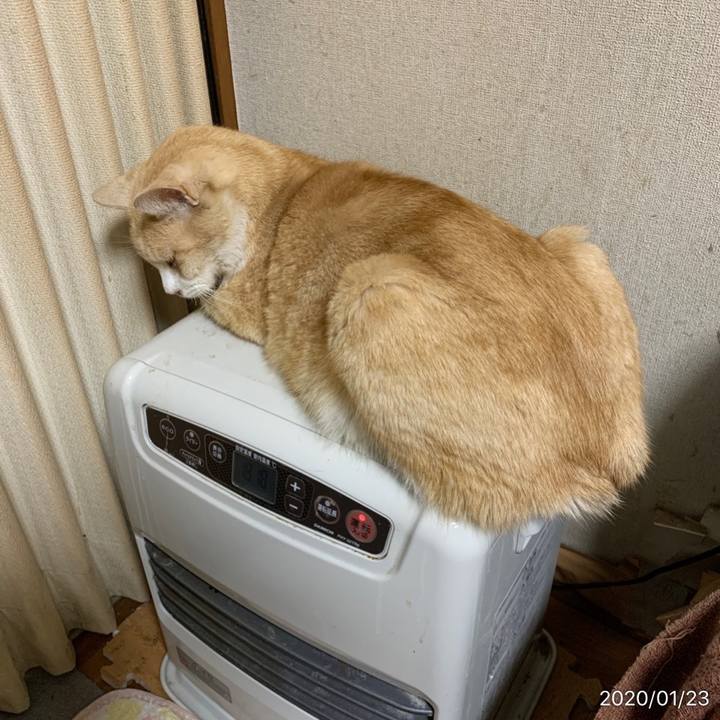 613501a2 921e 4a6c a130 8b2baead2952 1579736105386