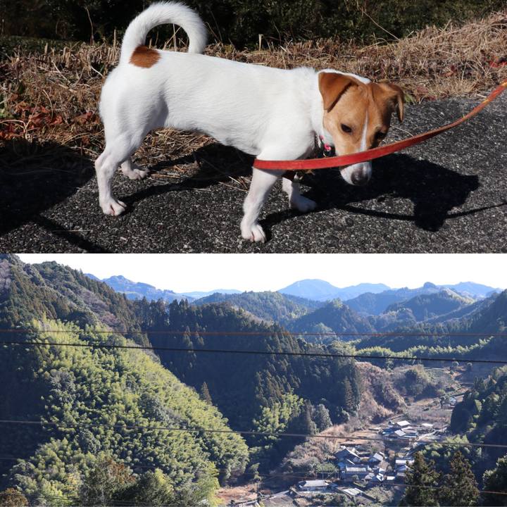 61352f36 a590 4caf ae74 916dfd167c86 1514953312902