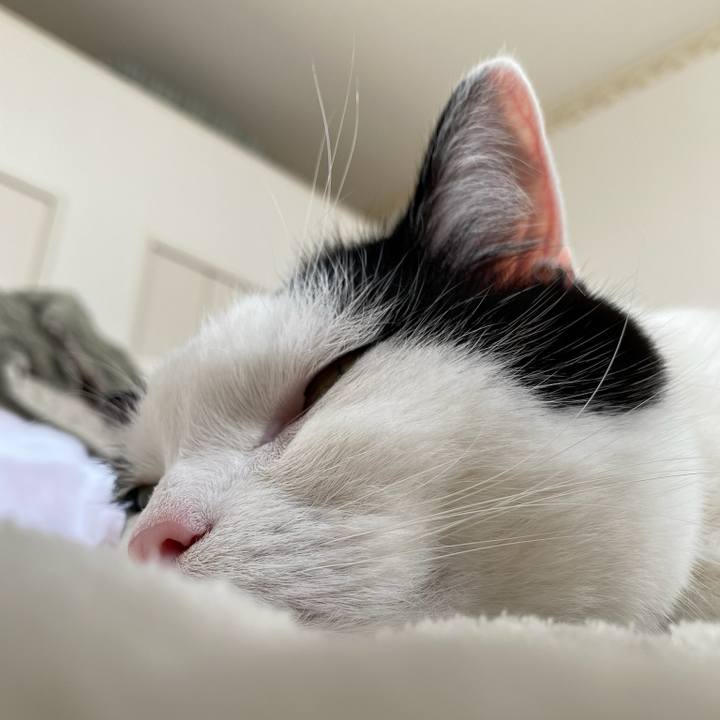 61357626 4895 4ead 8238 9d9564f3a597 1775688856527