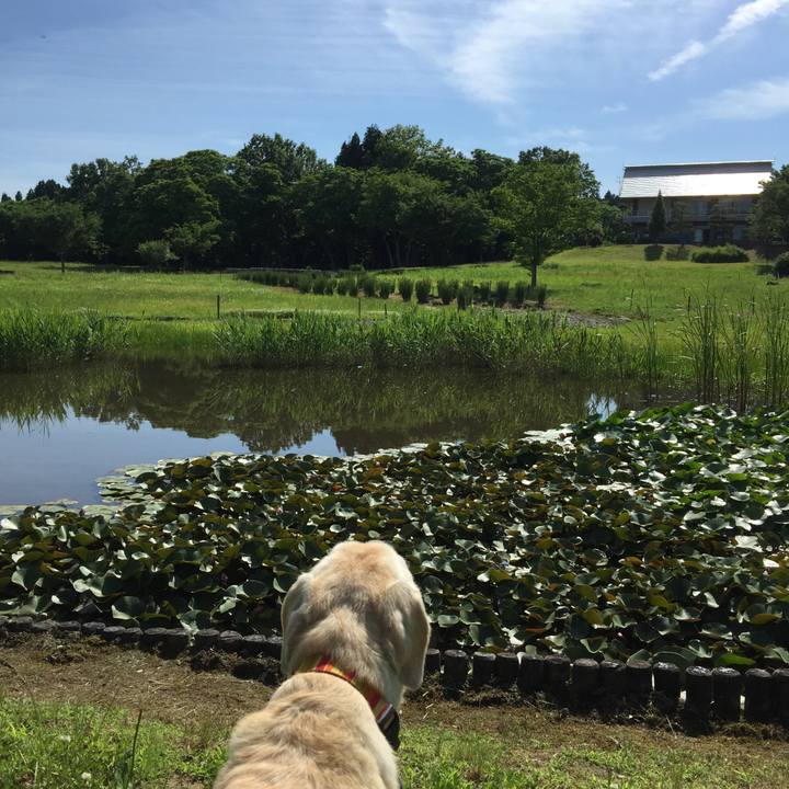 61358154 7986 465a 8d7a 112929faff75 1529220071123