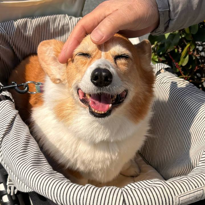 6135b8ea c6a3 4552 8604 eca30e054617 1773457818945