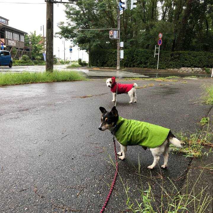 6135eac0 4e19 4d8d a664 cdfd70404d30 1567379136258