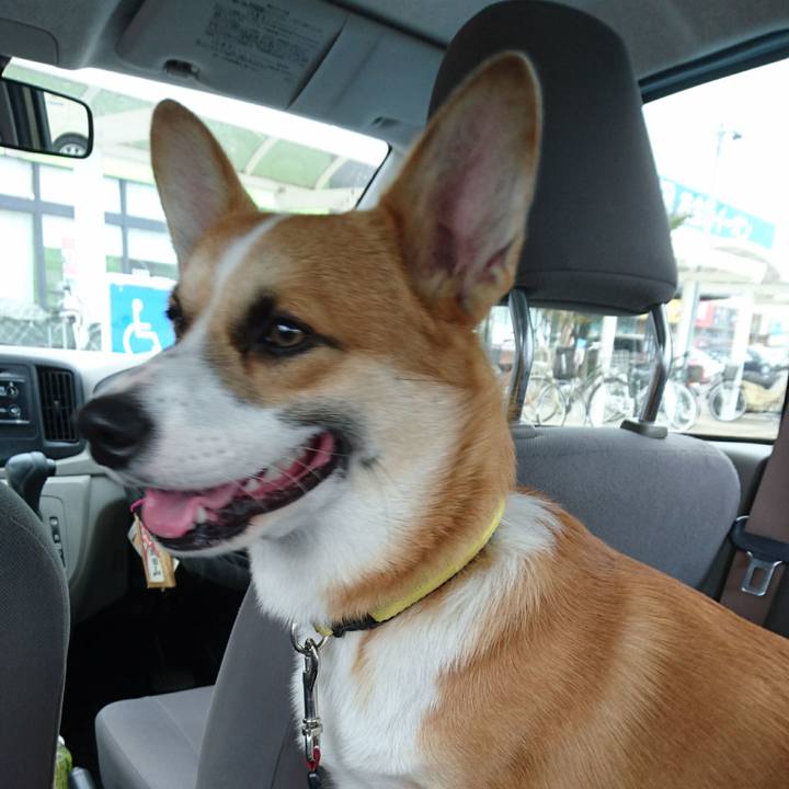 6135f07d 6908 41f5 b91e 838e40f838d0 1570000963774