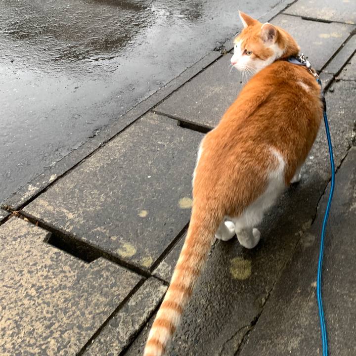 6135fcc7 bb0b 492c b4d1 a9c7de1cb6ad 1577342546035