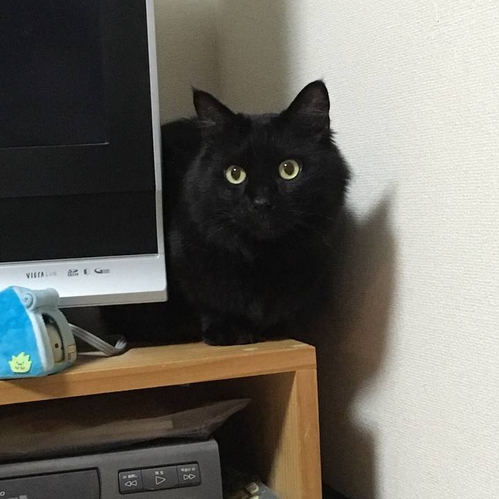 613612c9 402a 4b5b 8b6e 80dce630e86d 1523453887010