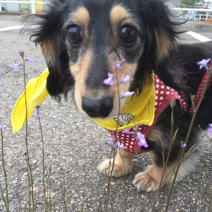 61364c2f c68c 4748 8e25 81159af57eaa 1523676943424