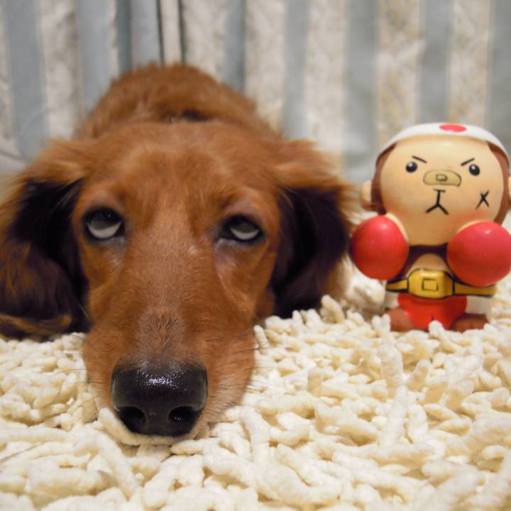 61364d32 c81b 4af5 b935 dd65d1d02ad6 1553708168642