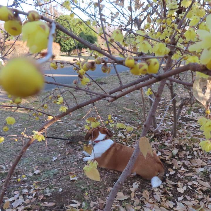 61365429 773c 4457 9d7e ee63aa9c4e29 1673485570744