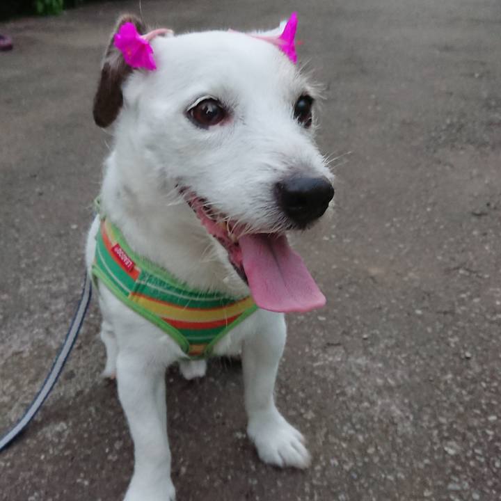 61365a9d de3d 4bd2 a793 9ed50f001afb 1531525938132