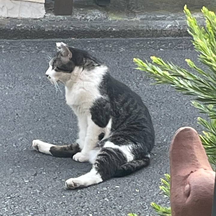 6136915d 894f 4c56 8752 c601045ec301 1630059007130