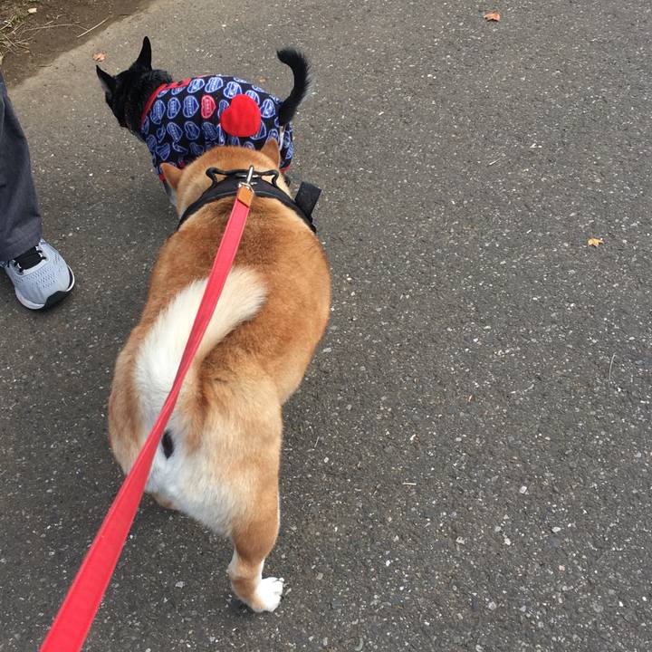 6136b49c 1e73 4988 8c32 532c959b52e9 1604195482052