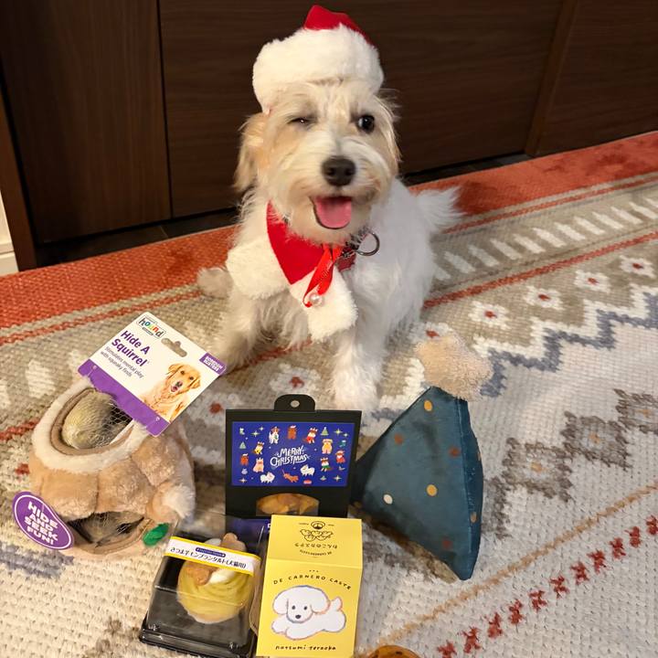 6136c78b 3ae7 4d8d 8de7 4e13ada89bfd 1766548899176