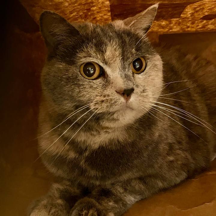 6136d7c4 cb01 4173 9a6f 0fad5a7d5bac 1763262914474