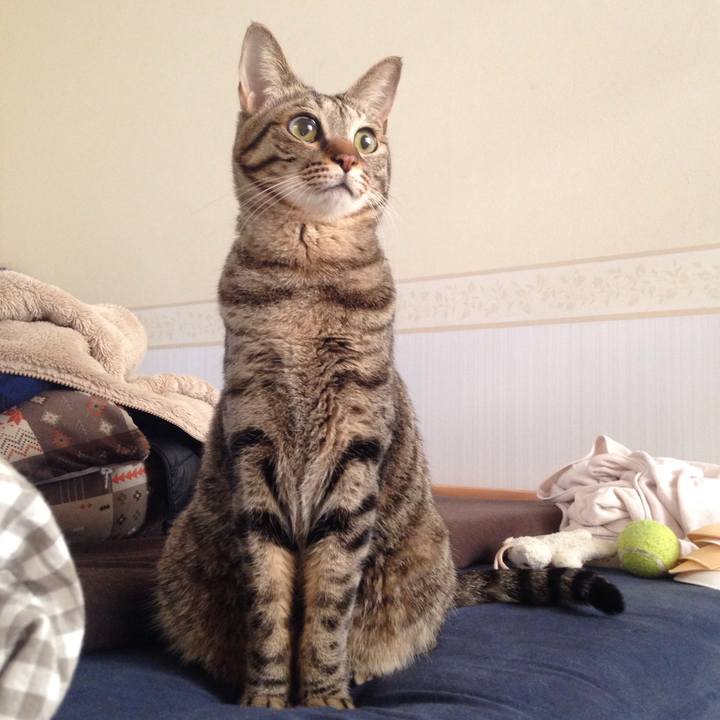 6136e542 337e 4028 8528 25134130b8ce 1512443417929